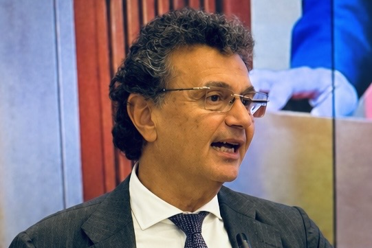 Solidarietà e interesse pubblico: il Presidente SNA al Senato sui fondamenti giuridici della gratuità
